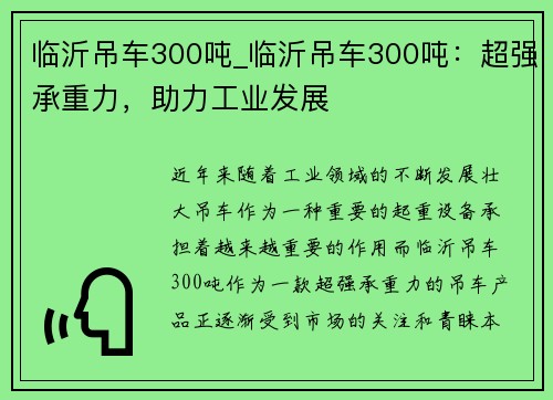 临沂吊车300吨_临沂吊车300吨：超强承重力，助力工业发展