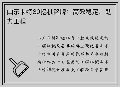 山东卡特80挖机铭牌：高效稳定，助力工程